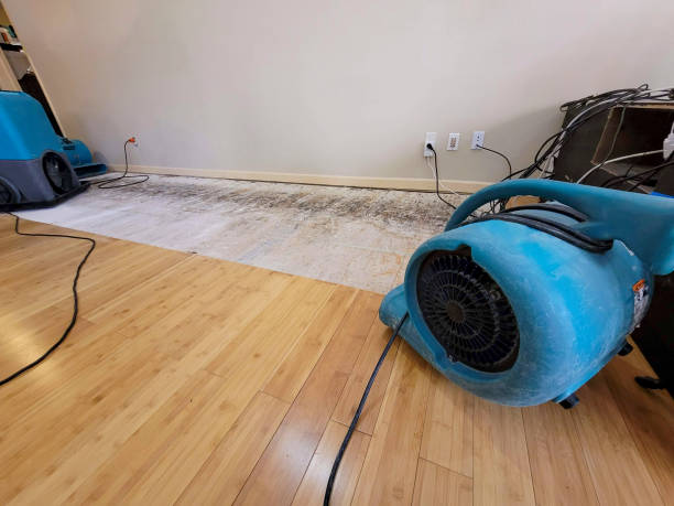 Professional Emergency Water Damage technician working in Coal Run, OH